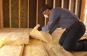 Best Eco-Friendly or Green Insulation Solutions  in Hanamaulu, HI