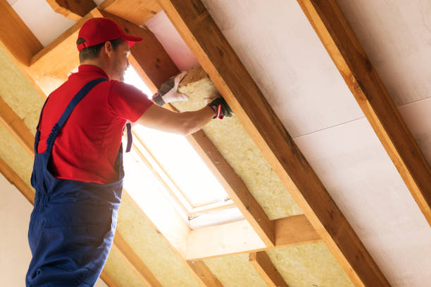 Professional Insulation Installation & Removal in Hanamaulu, HI